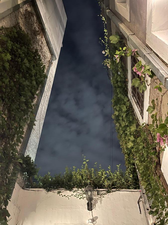 ブエノスアイレス Le Petit Palais Bed & Breakfast エクステリア 写真