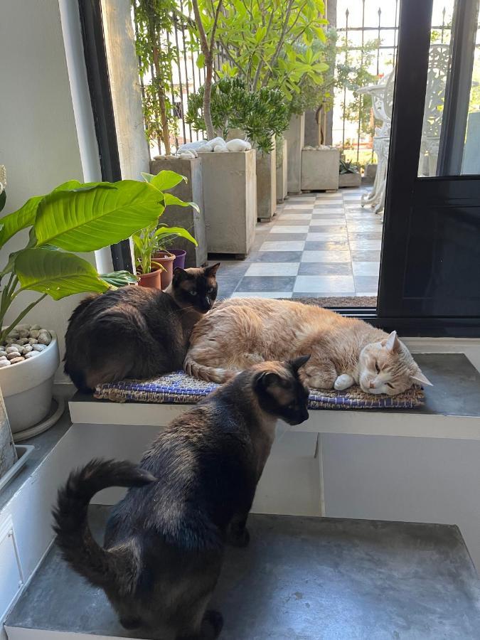 ブエノスアイレス Le Petit Palais Bed & Breakfast エクステリア 写真