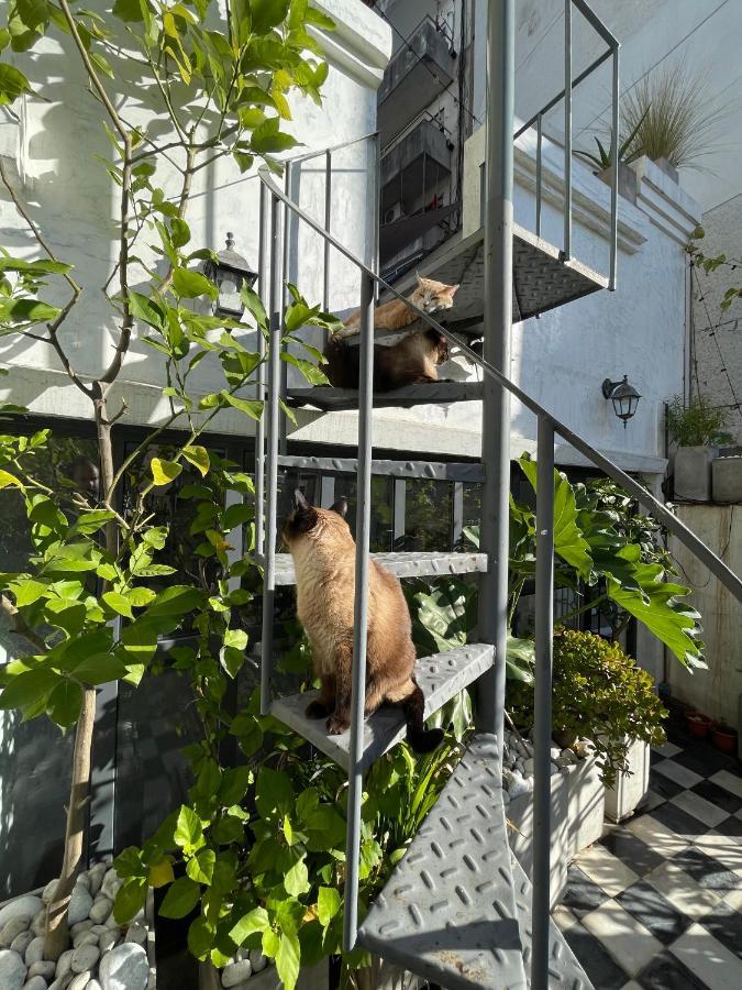 ブエノスアイレス Le Petit Palais Bed & Breakfast エクステリア 写真