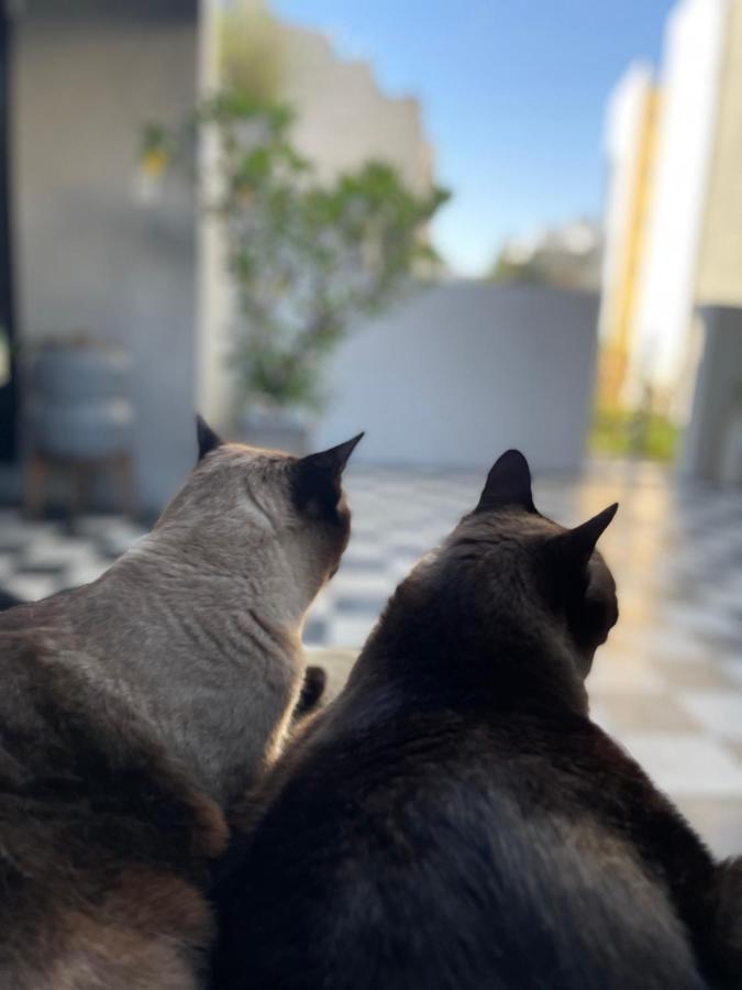 ブエノスアイレス Le Petit Palais Bed & Breakfast エクステリア 写真