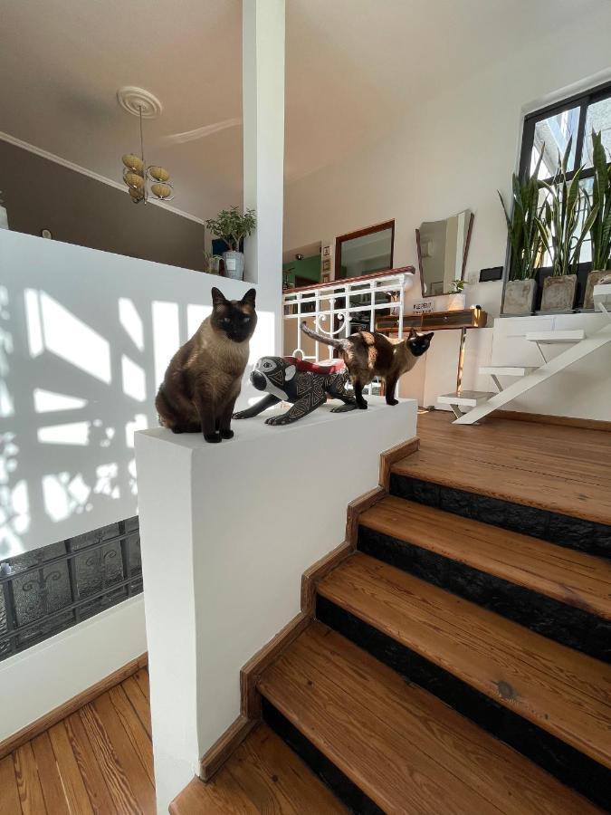 ブエノスアイレス Le Petit Palais Bed & Breakfast エクステリア 写真